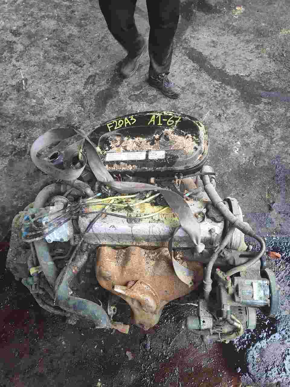 Honda - Accord (1987) 4 Cylinder, 2.0 Litre ENGINE